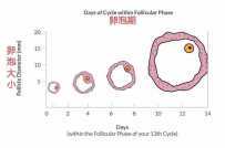 「火爆头条」大同试管2次失败不想做了