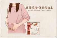 2026廊坊试管婴儿成功率分析：高龄生子需要做几次？